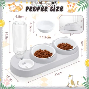 Plastic Raised Cat Food and Water Bowls, 3 in 1 Elevated Cat Feeder