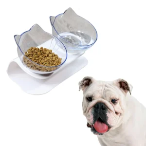 Cat Dog Bowls Elevated Cat Food Water Bowls Tilted Raised Pet Feeder