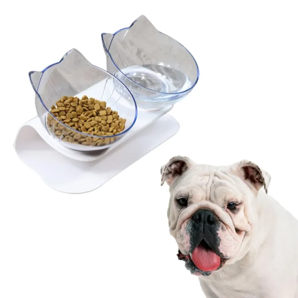 Cat Dog Bowls Elevated Cat Food Water Bowls Tilted Raised Pet Feeder