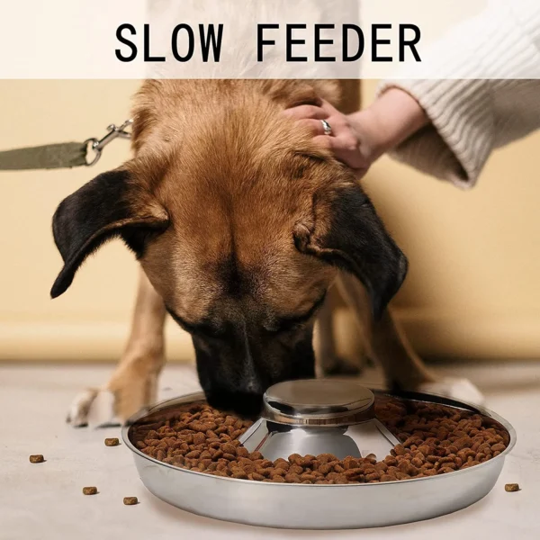 Puppy Feeder Bowl, Stainless Steel Dog Bowls for Puppy, Food Feeding - Image 4