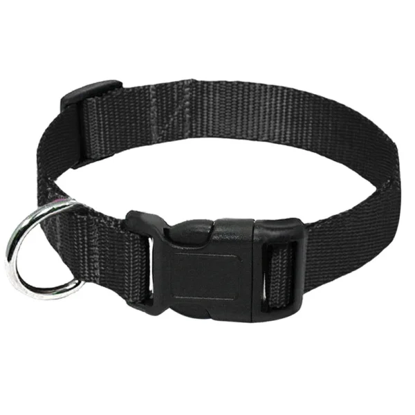 Plain Pet Puppy Cat Dog Collar and Matching Leash set - Image 3