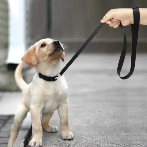 Plain Pet Puppy Cat Dog Collar and Matching Leash set - Image 4
