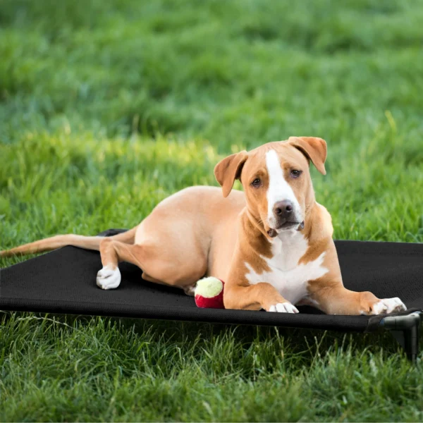 Cooling Elevated Dog Bed, Portable Raised Pet Cot with Washable - Image 4